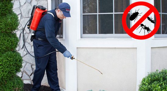Mahmudiye Bit İlaçlama böcek ilaçlama ve haşere kontrolü — ilaclama-tr.com